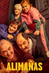Haşarat
