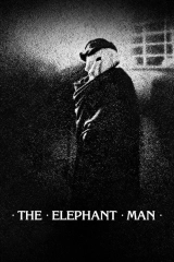 Fil Adam (1980)