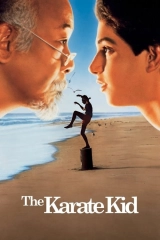 Karate Kid Serisi
