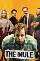 The Mule - Kurye
