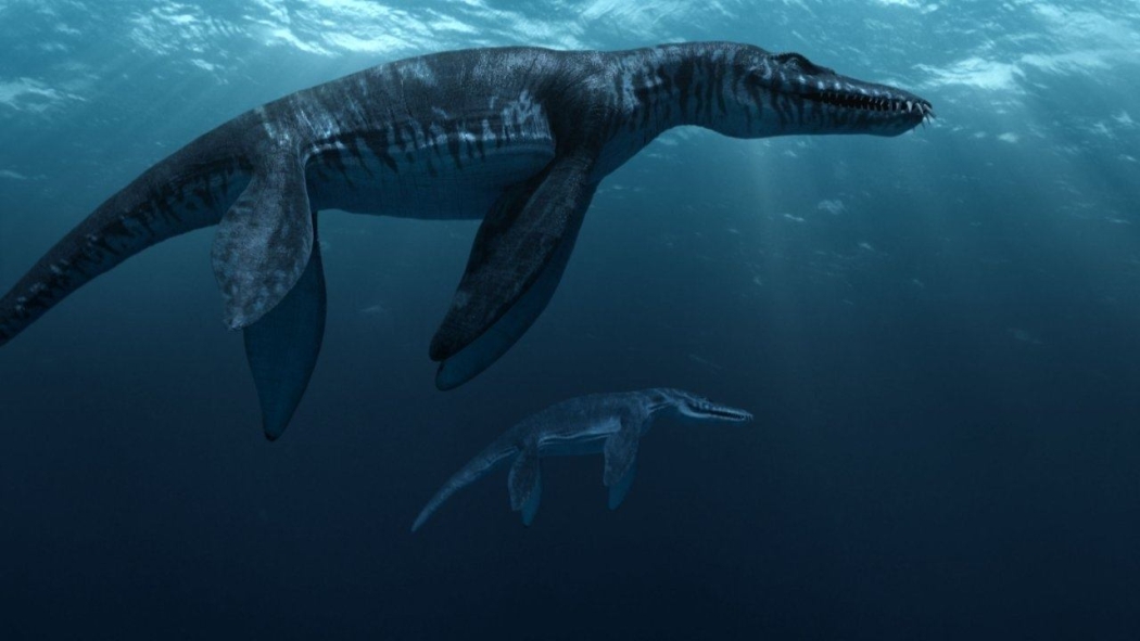 Sea Rex: Tarih Öncesi Bir Dünyaya Yolculuk izle